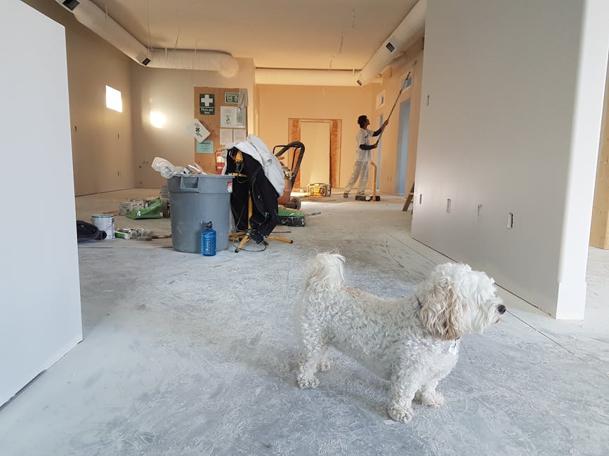 Escena de renovación interior con un pintor trabajando y un perro en primer plano
